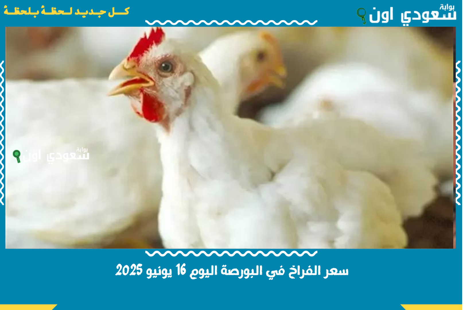 سعر الفراخ في البورصة اليوم 16 يونيو 2025